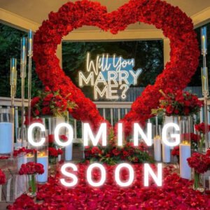 The Grand Proposal - COMING SOON